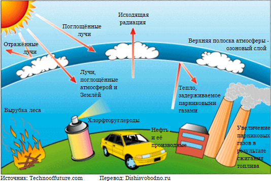 Глобальные Проблемы Человечества Экология Реферат