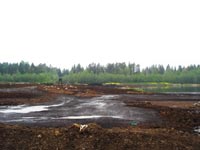 Экологическая ситуация Северо-Западного района