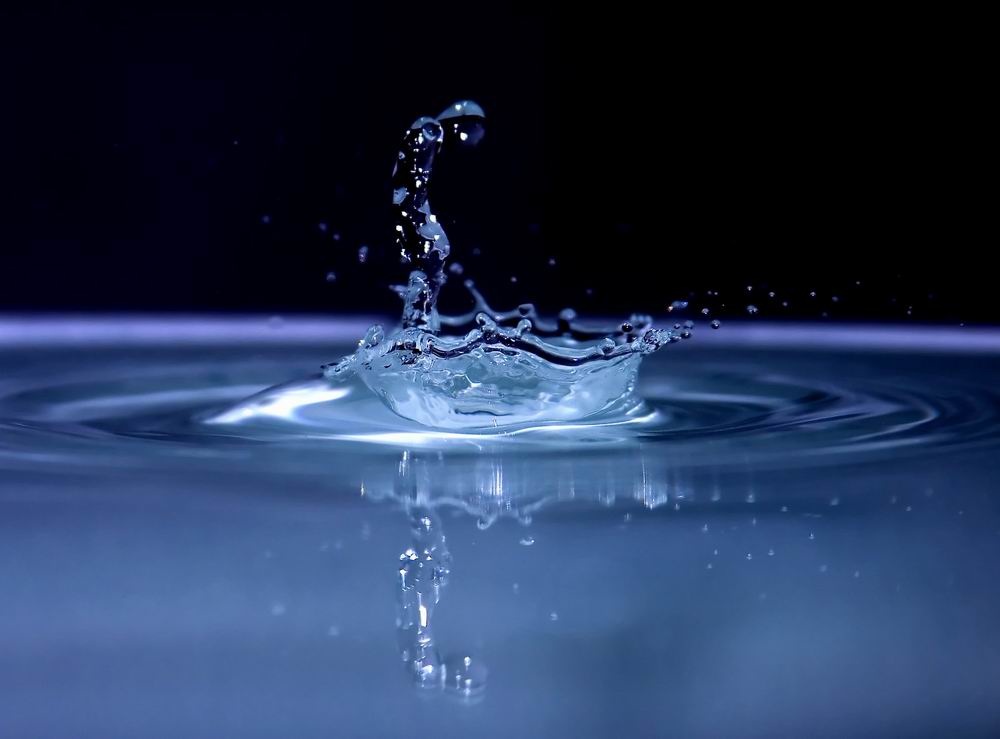 Роль воды в организме человека