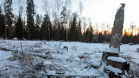 Самые чистые и самые грязные страны